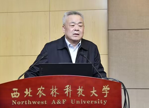 3ac31da5740a459fa0501810221c2906.jpg 4e1e480fda6a4ca0807d02edc770a160_副本.jpg
